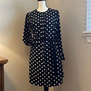 Classic Black Polka Dot Dress